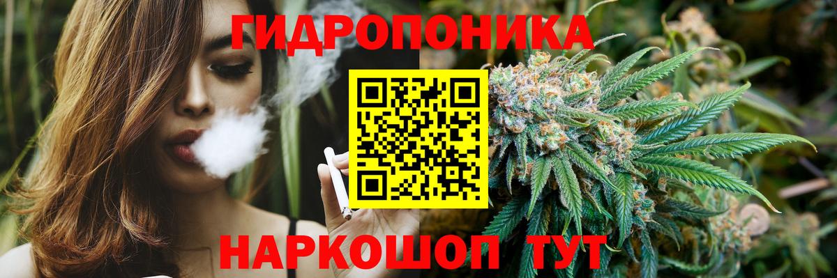 Марихуана план Чебоксары